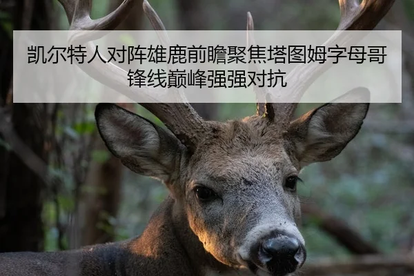 凯尔特人对阵雄鹿前瞻聚焦塔图姆字母哥锋线巅峰强强对抗