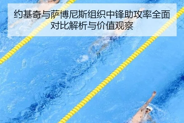 约基奇与萨博尼斯组织中锋助攻率全面对比解析与价值观察